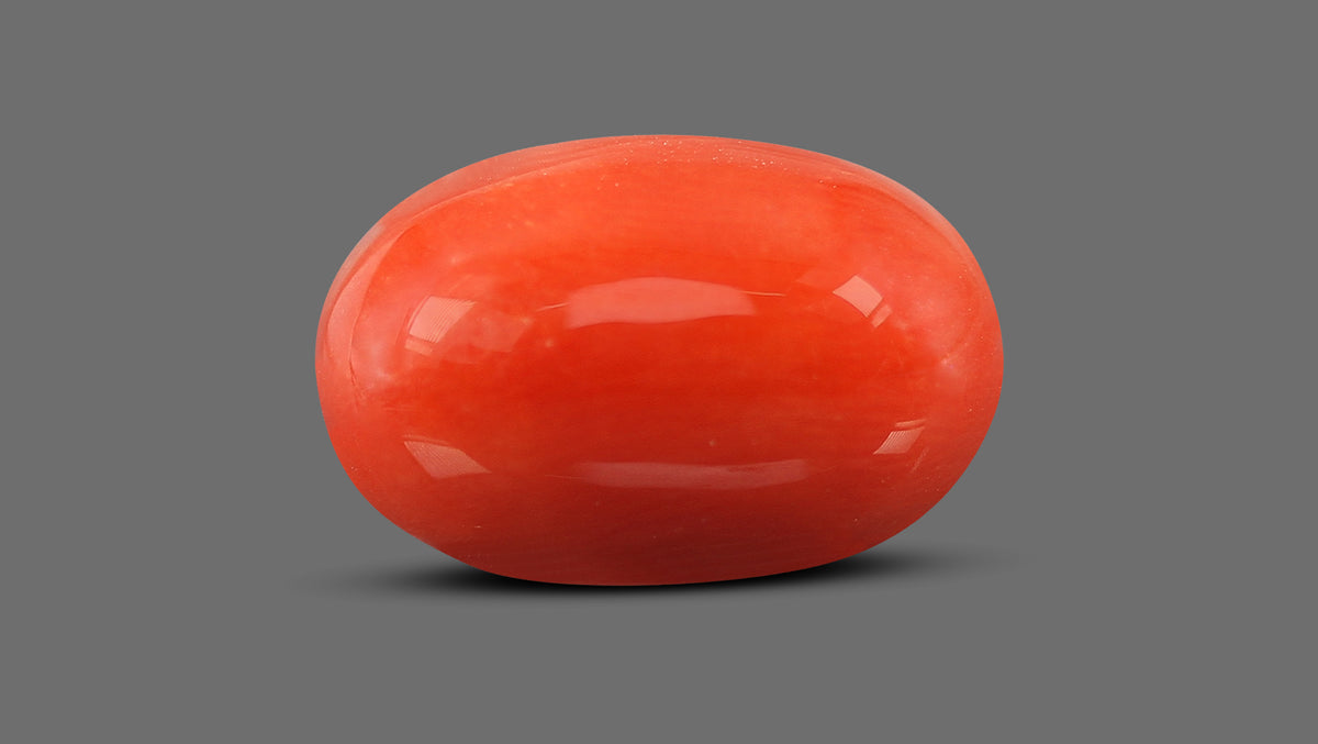 Italian Red Coral 11.93 Carats / 13.11 Ratti