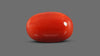 Italian Red Coral 15.75 Carats / 17.31 Ratti