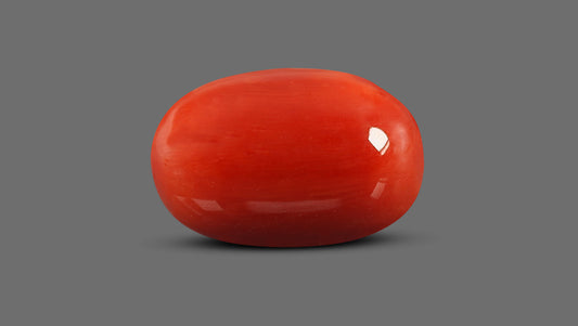 Italian Red Coral 15.75 Carats / 17.31 Ratti
