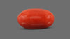 Italian Red Coral 8.65 Carats / 9.51 Ratti