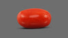 Italian Red Coral 13.20 Carats / 14.51 Ratti