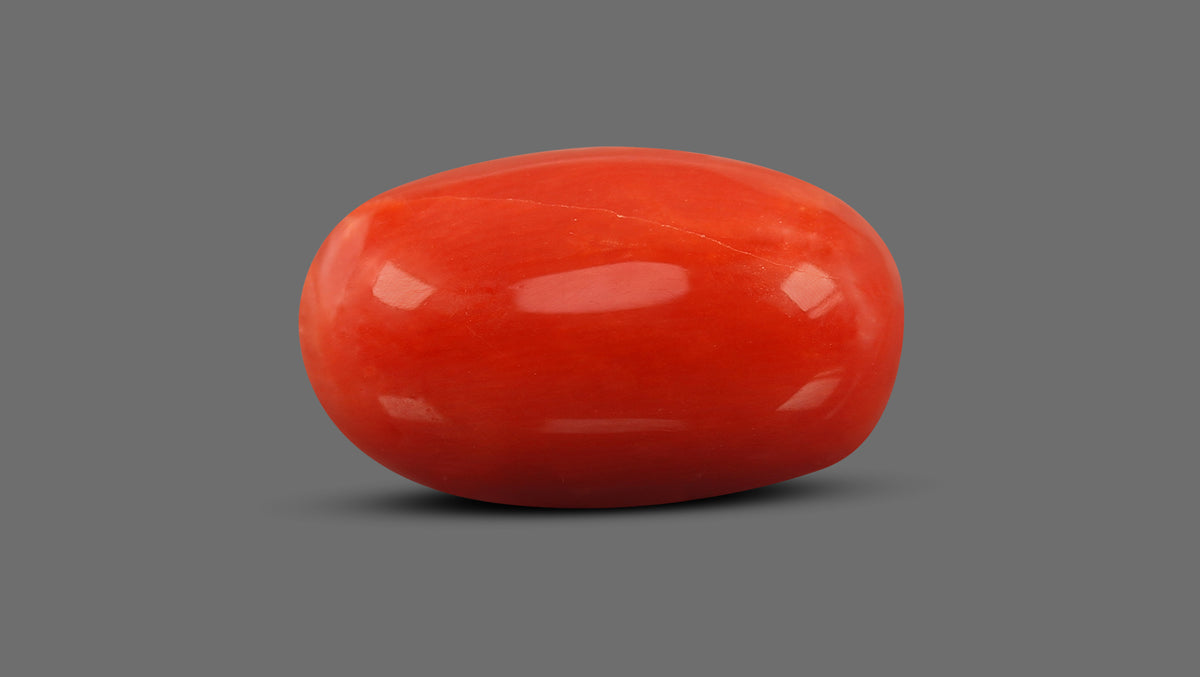 Italian Red Coral 13.20 Carats / 14.51 Ratti