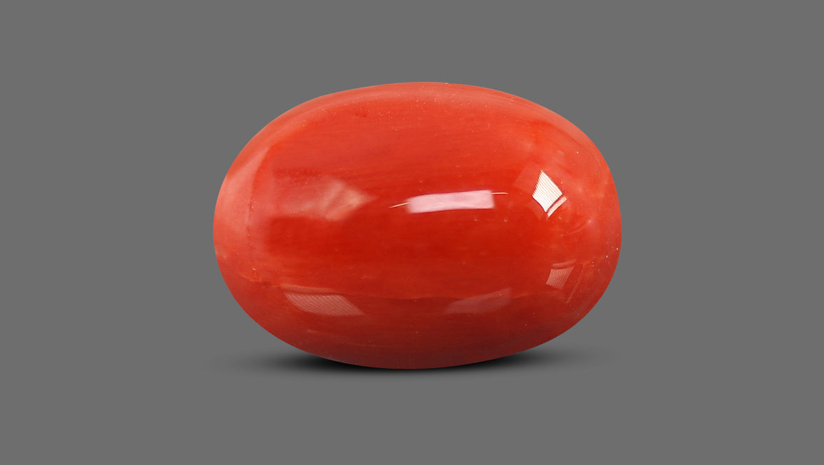 Italian Red Coral 12.20 Carats / 13.41 Ratti