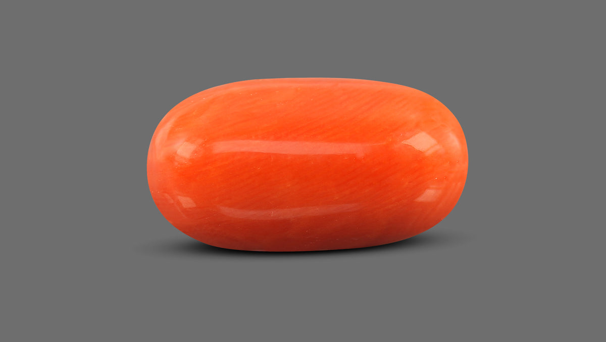 Italian Red Coral 11.85 Carats / 13.02 Ratti