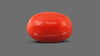 Italian Red Coral 9.50 Carats / 10.44 Ratti