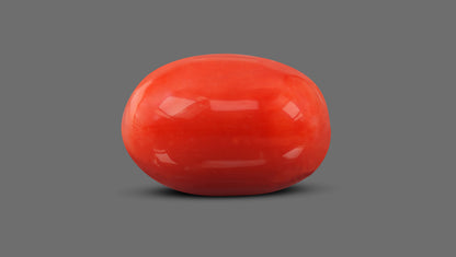 Italian Red Coral 9.50 Carats / 10.44 Ratti