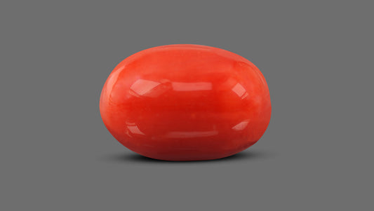 Italian Red Coral 9.50 Carats / 10.44 Ratti