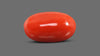 Italian Red Coral 9.30 Carats / 10.22 Ratti