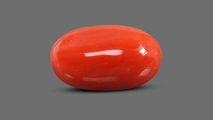 Italian Red Coral 9.30 Carats / 10.22 Ratti