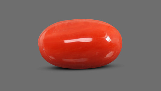 Italian Red Coral 9.30 Carats / 10.22 Ratti