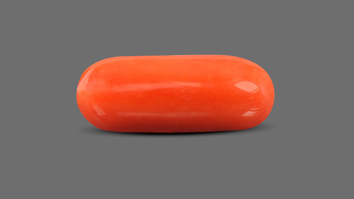 Italian Red Coral 9.12 Carats / 10.02 Ratti