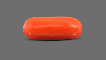 Italian Red Coral 9.12 Carats / 10.02 Ratti