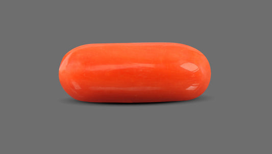 Italian Red Coral 9.12 Carats / 10.02 Ratti