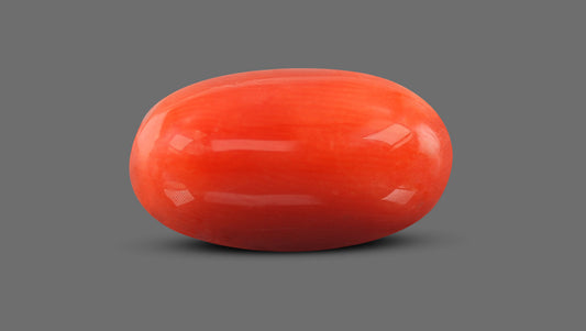 Italian Red Coral 9.32 Carats / 10.24 Ratti