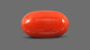 Italian Red Coral 8.24 Carats / 9.05 Ratti