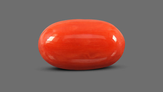 Italian Red Coral 8.24 Carats / 9.05 Ratti