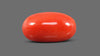 Italian Red Coral 9.40 Carats / 10.33 Ratti