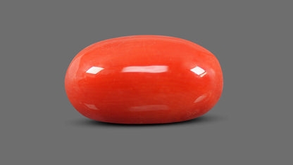 Italian Red Coral 9.40 Carats / 10.33 Ratti