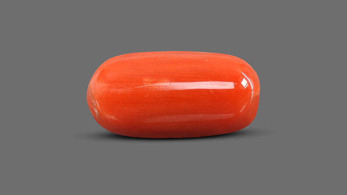 Italian Red Coral 11.38 Carats / 12.51 Ratti