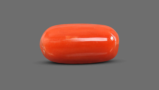 Italian Red Coral 11.38 Carats / 12.51 Ratti