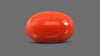 Italian Red Coral 9.19 Carats / 10.1 Ratti