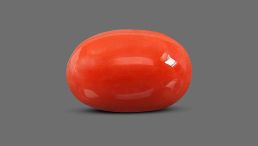 Italian Red Coral 9.19 Carats / 10.1 Ratti