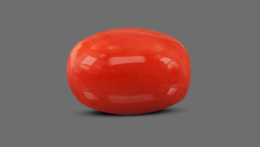 Italian Red Coral 8.95 Carats / 9.84 Ratti