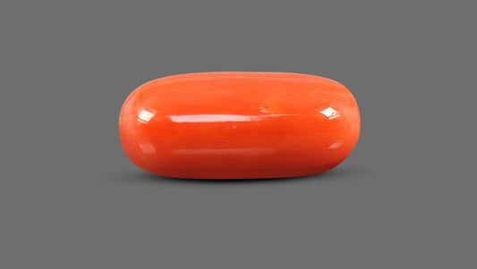 Italian Red Coral 12.02 Carats / 13.21 Ratti