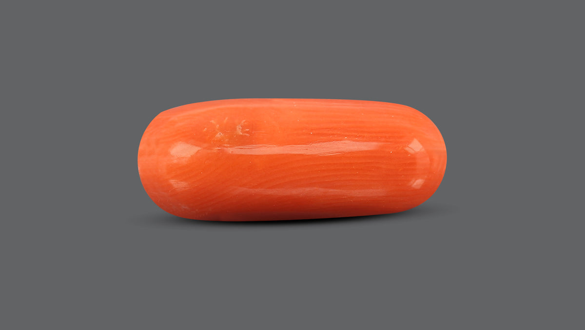 Italian Red Coral 8.52 Carats / 9.36 Ratti