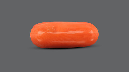 Italian Red Coral 8.52 Carats / 9.36 Ratti
