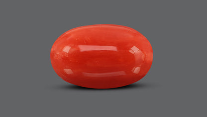 Italian Red Coral 10.82 Carats / 11.89 Ratti