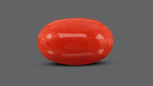 Italian Red Coral 10.82 Carats / 11.89 Ratti
