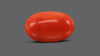 Italian Red Coral 9.81 Carats / 10.78 Ratti