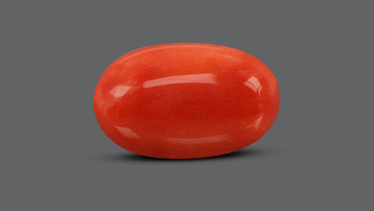 Italian Red Coral 9.81 Carats / 10.78 Ratti