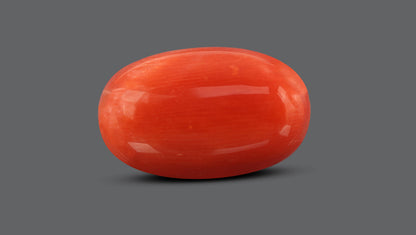 Italian Red Coral 10.36 Carats / 11.38 Ratti