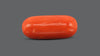Italian Red Coral 10.14 Carats / 11.14 Ratti