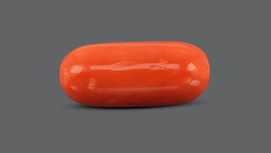 Italian Red Coral 10.14 Carats / 11.14 Ratti