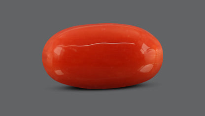 Italian Red Coral 7.71 Carats / 8.47 Ratti
