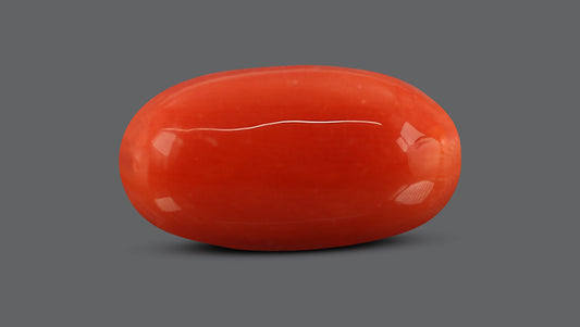 Italian Red Coral 7.71 Carats / 8.47 Ratti