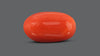 Italian Red Coral 7.63 Carats / 8.38 Ratti
