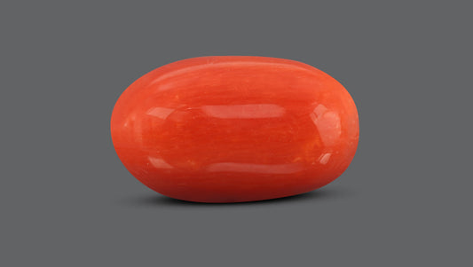 Italian Red Coral 7.63 Carats / 8.38 Ratti