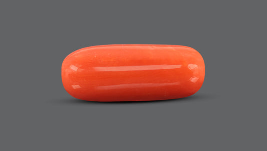 Italian Red Coral 10.79 Carats / 11.86 Ratti