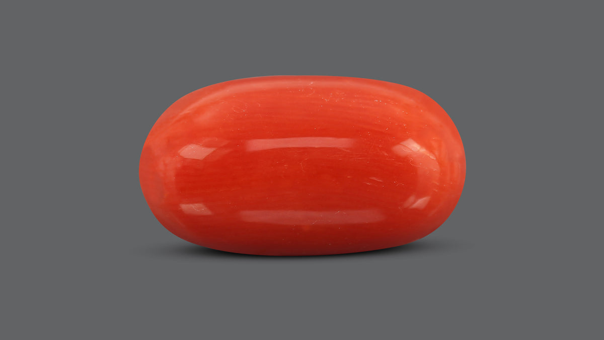 Italian Red Coral 10.05 Carats / 11.04 Ratti