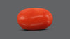 Italian Red Coral 7.60 Carats / 8.35 Ratti