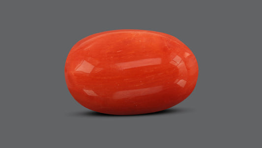 Italian Red Coral 7.60 Carats / 8.35 Ratti