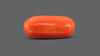 Italian Red Coral 10.90 Carats / 11.98 Ratti