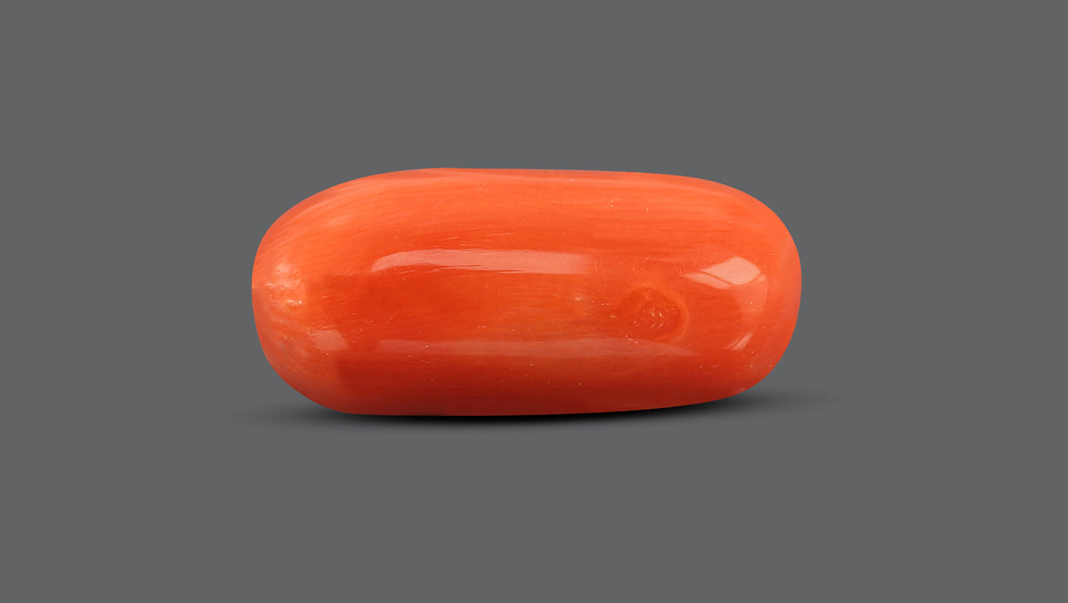 Italian Red Coral 10.90 Carats / 11.98 Ratti
