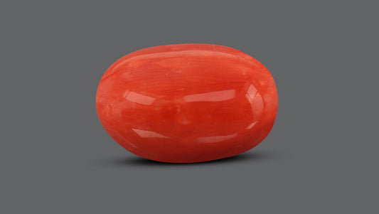 Italian Red Coral 10.54 Carats / 11.58 Ratti