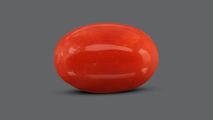 Italian Red Coral 8.13 Carats / 8.93 Ratti