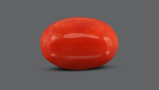 Italian Red Coral 8.13 Carats / 8.93 Ratti